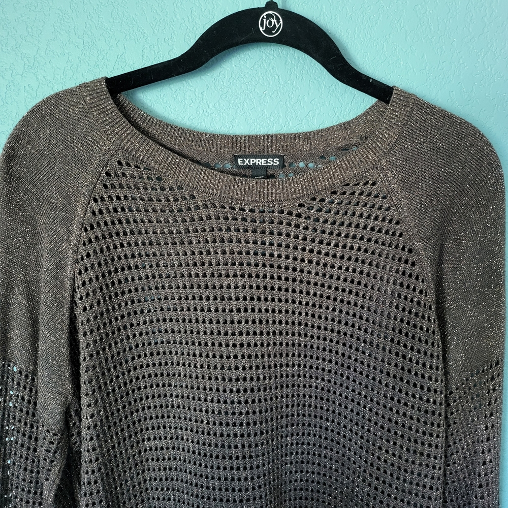 Express Brown Crew Neck Sweater